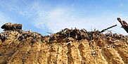 Land recycling as part of site management