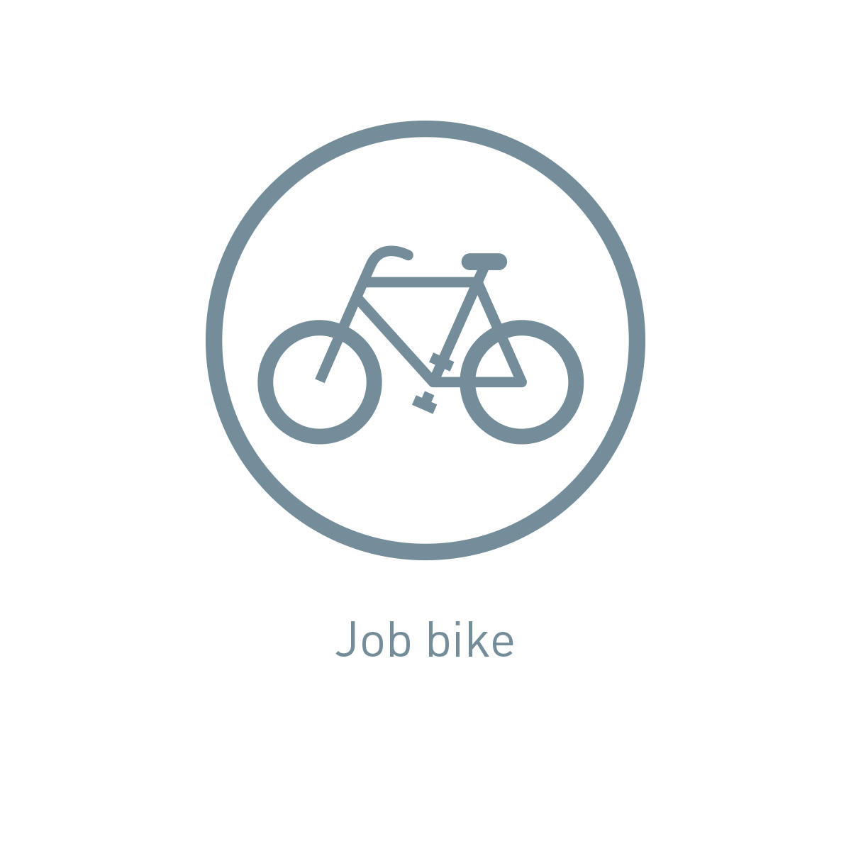 Icon job bike
