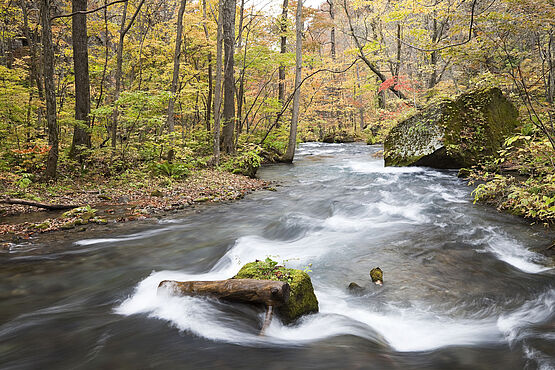 Analysis of surface water: specialists of WESSLING