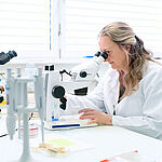 laboratory analysis at WESSLING