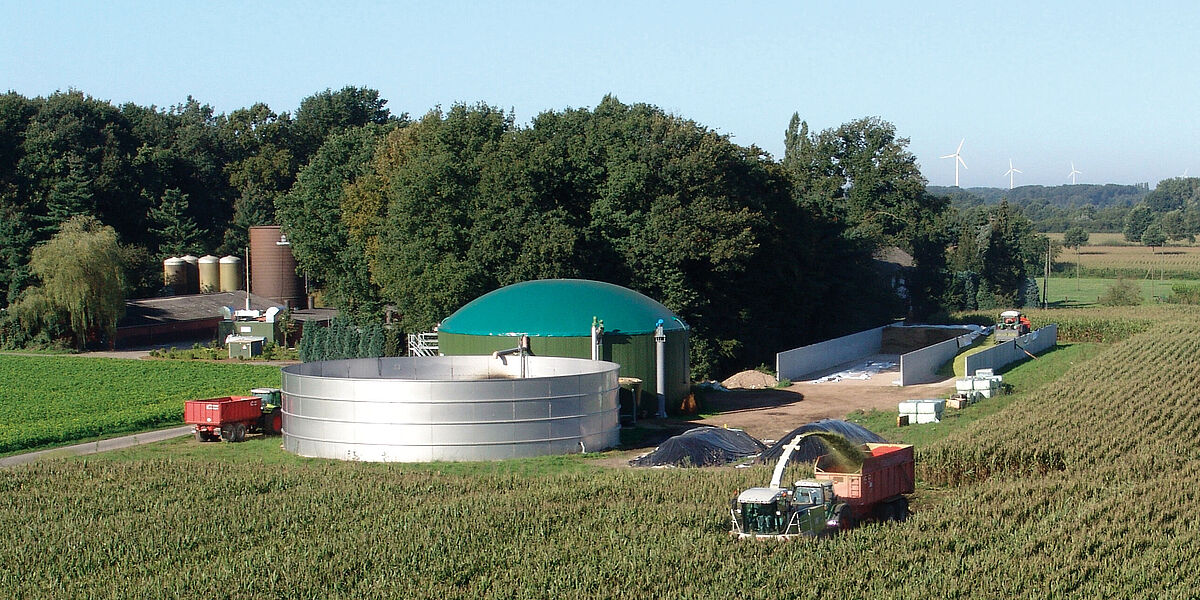 biogas plant and maize field