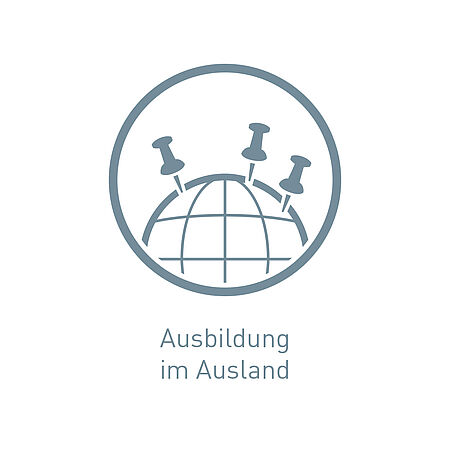 Icon Ausbildung im Ausland