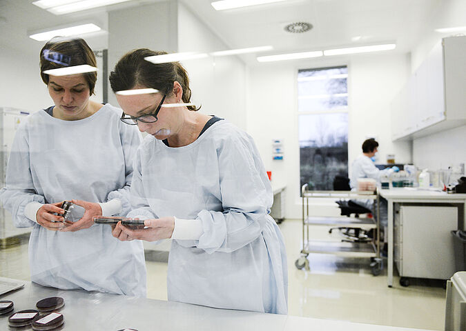 Microbiological laboratory analysis 