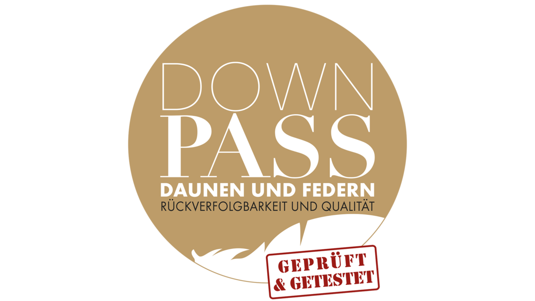 Logo DOWNPASS