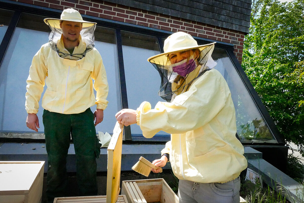 Preperation for harvesting the WESSLING honey