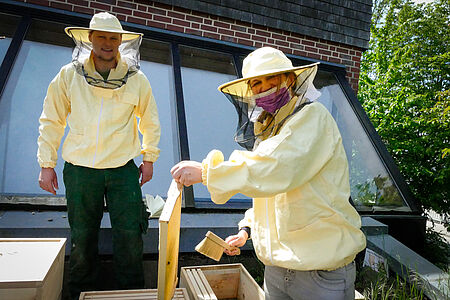 Preperation for harvesting the WESSLING honey