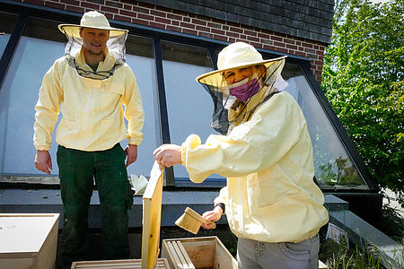 Vorbereitung der Honigrahmen für das Honigschleudern