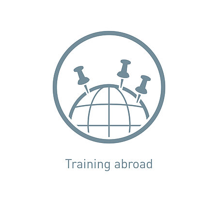 Icon training abroad
