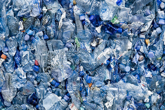 Microplastics in the environment