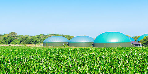 Biogasanlage neben Maisfeld