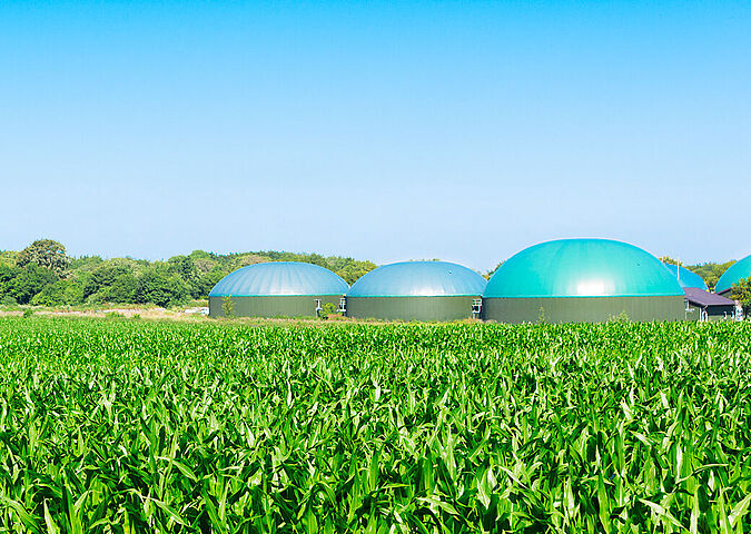 Biogasanlage neben Maisfeld