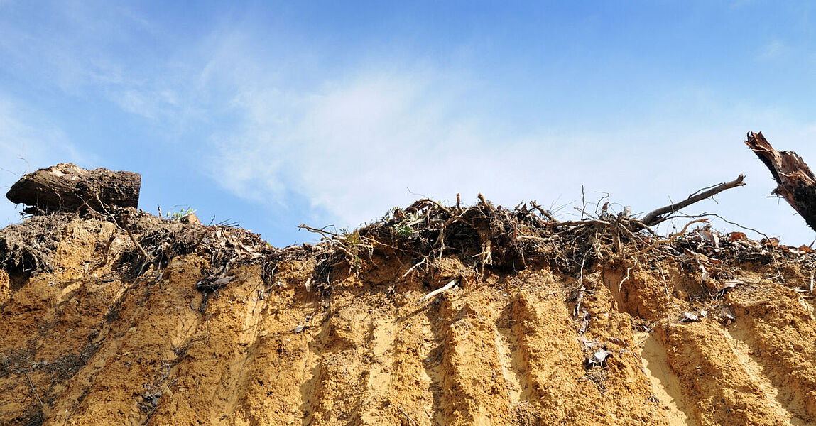 Land recycling as part of site management