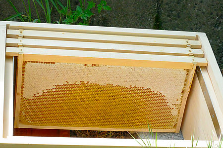 Honigrahmen