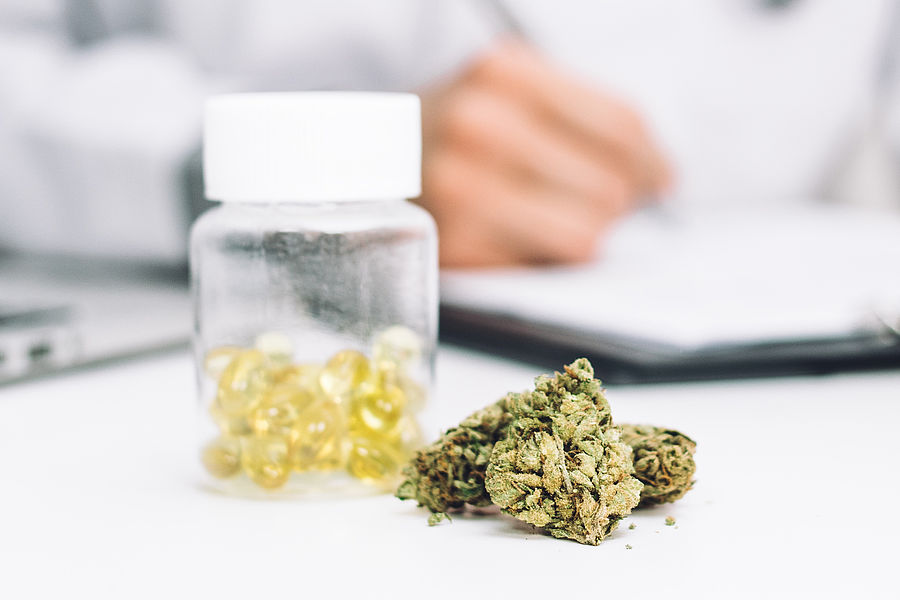 Verarbeitetes Cannabis in Dose und Cannabisblüten
