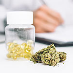 Verarbeitete Cannabis-Arzneimittel in Dose und Cannabisblüten