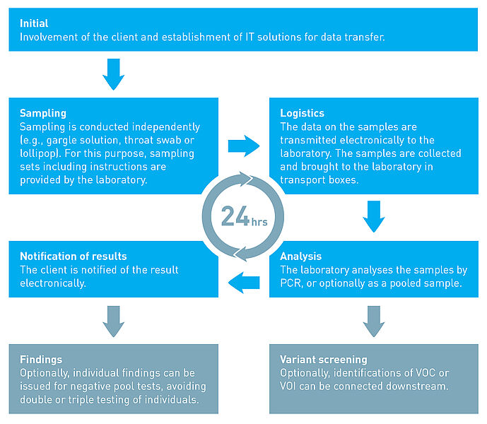 Graphic: Concept for the reliable detection of coronaviruses