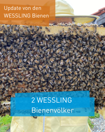 WESSLING Bienen