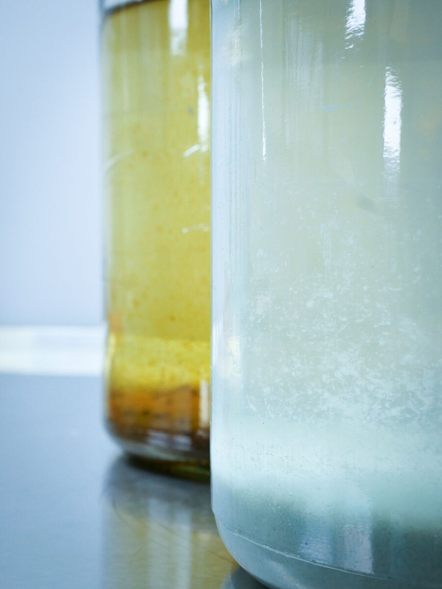 Unbehandelte Umweltproben im Glas