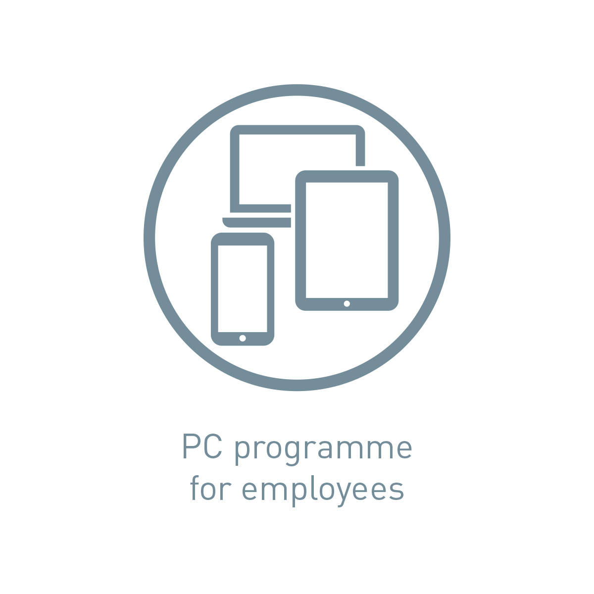 Icon PC programme for employees